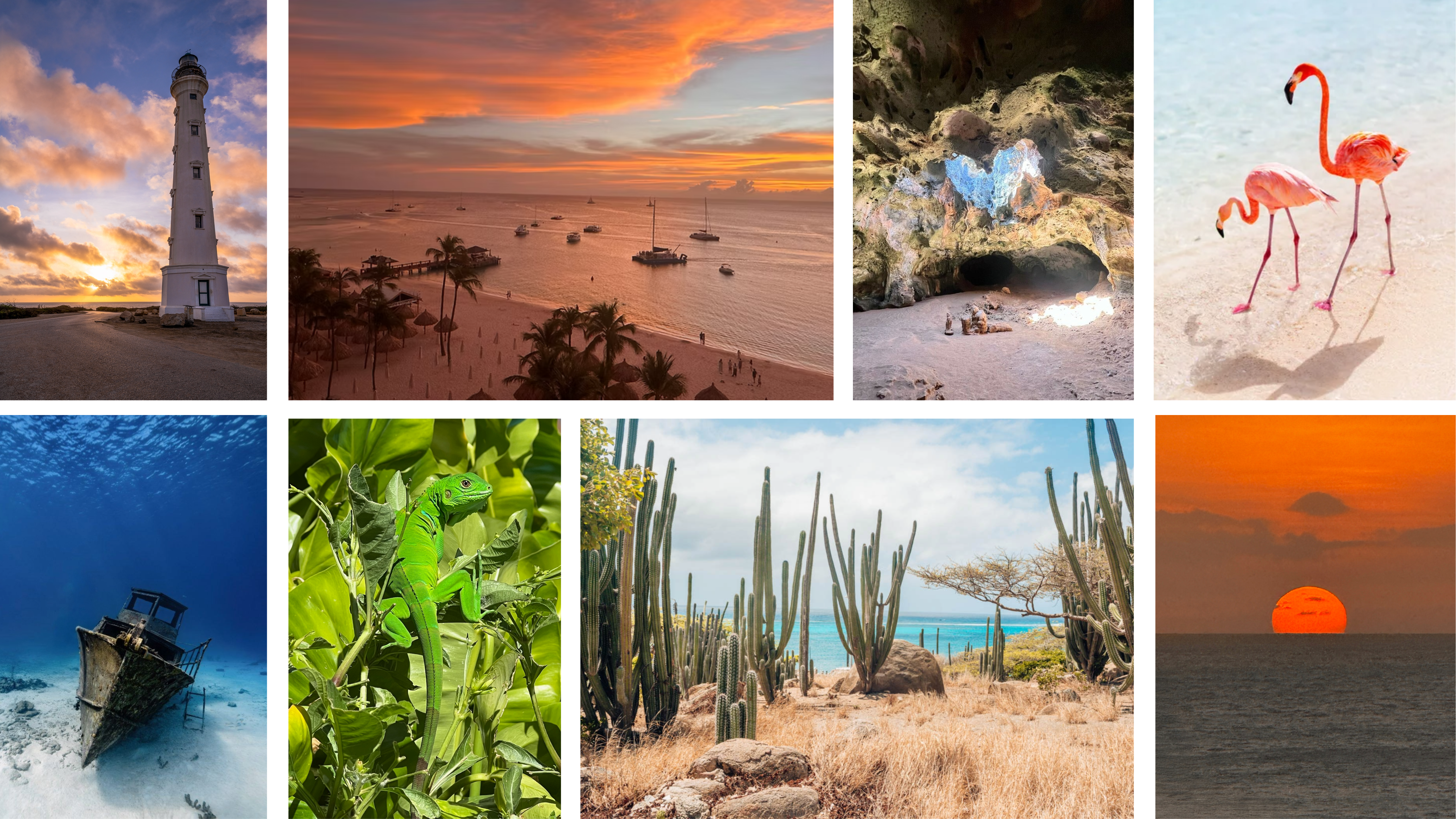 Aruba — turquoise water, golden light, white sand beaches